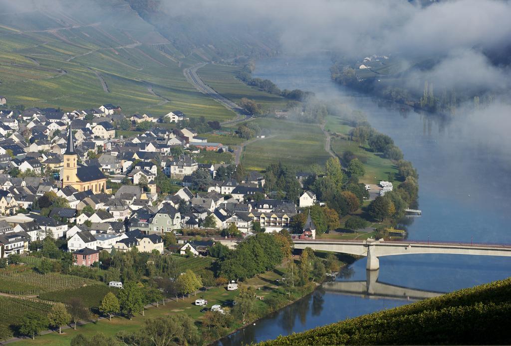 Weingut & Gaestehaus Edwin Hoffmann Триттенхайм Экстерьер фото