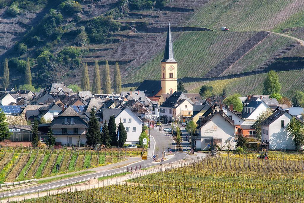 Weingut & Gaestehaus Edwin Hoffmann Триттенхайм Экстерьер фото