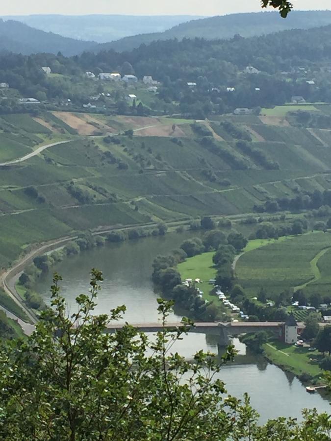 Weingut & Gaestehaus Edwin Hoffmann Триттенхайм Экстерьер фото